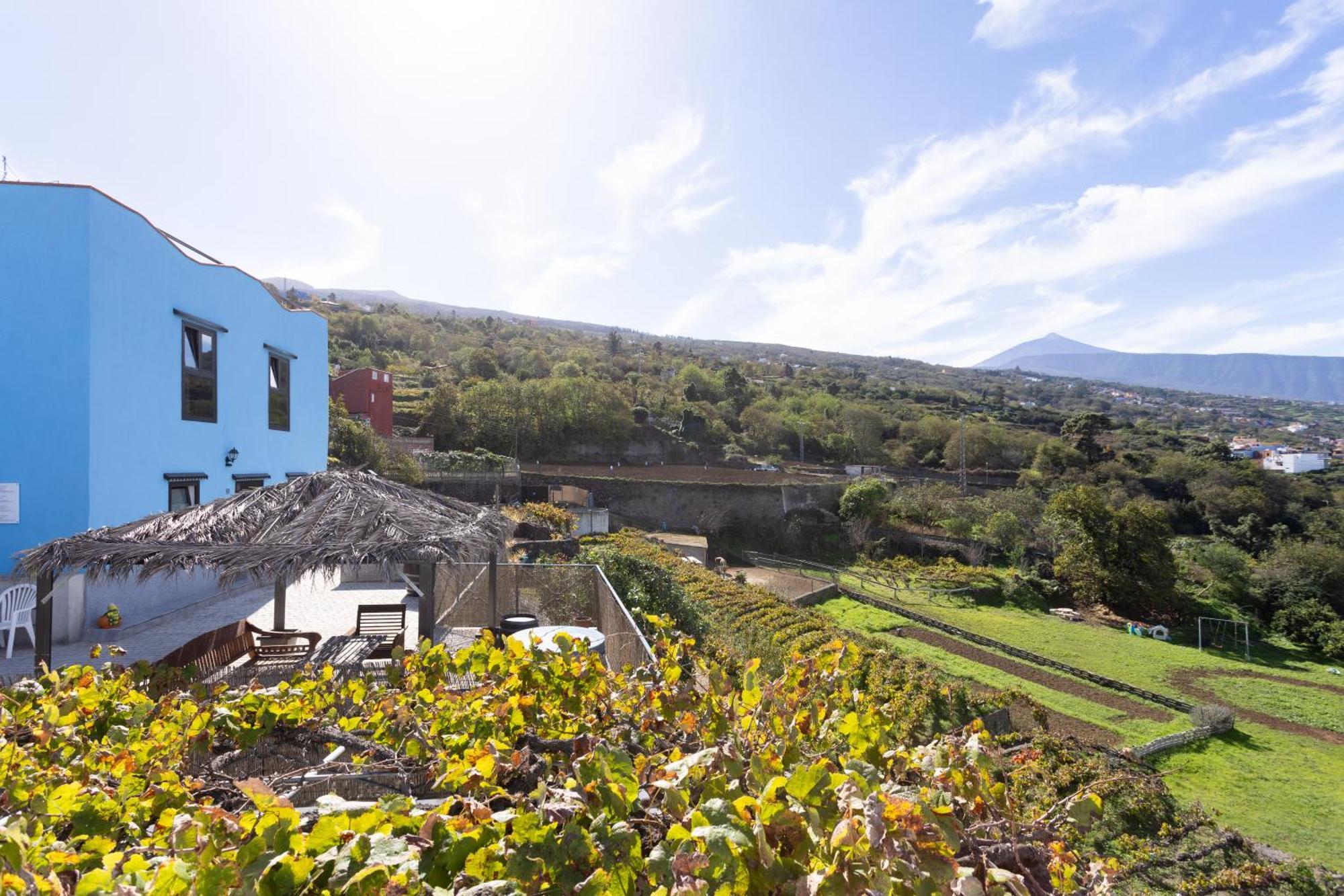 Ek Drago Finca El Milagro La Orotava Ngoại thất bức ảnh
