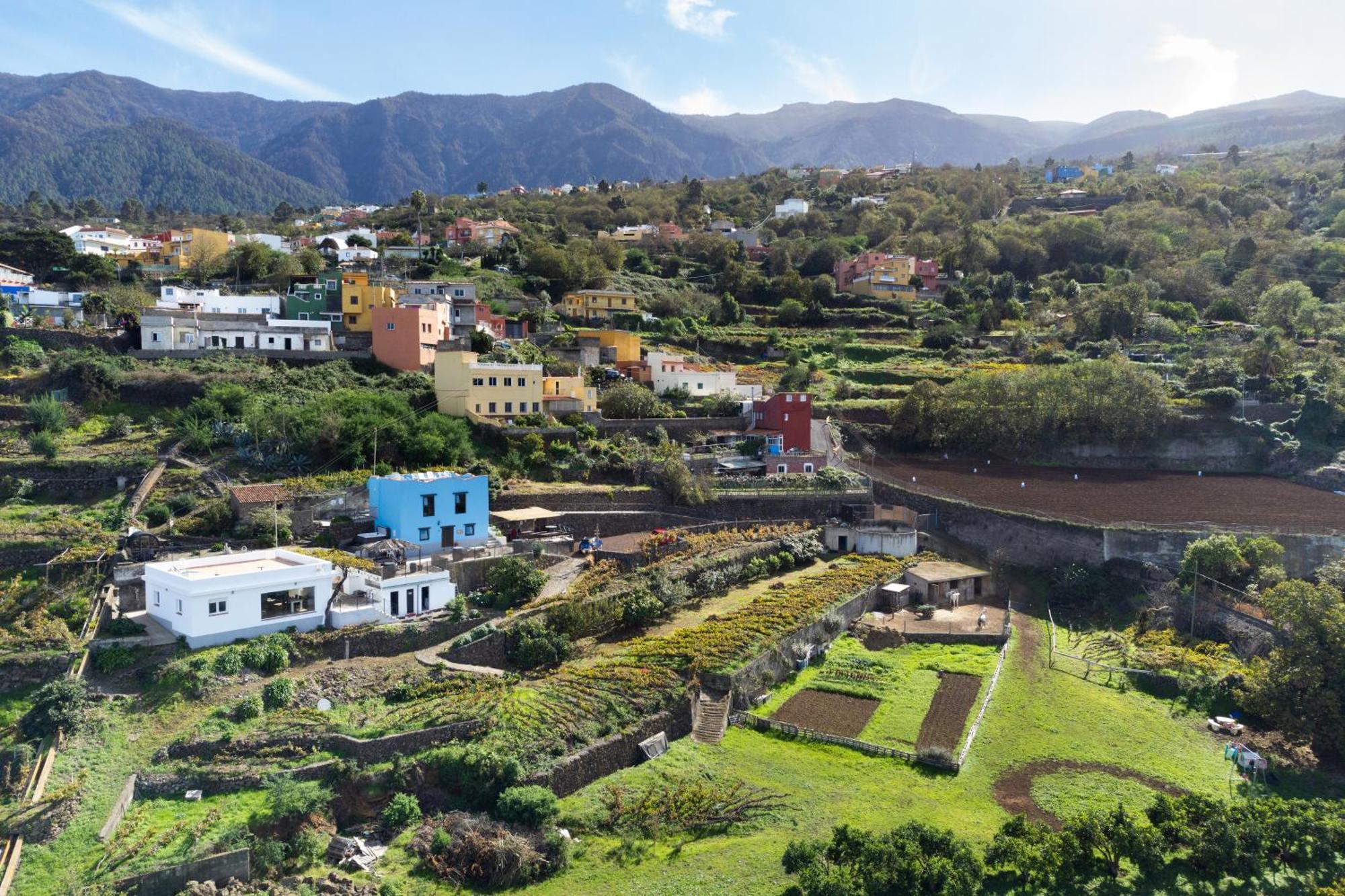 Ek Drago Finca El Milagro La Orotava Ngoại thất bức ảnh