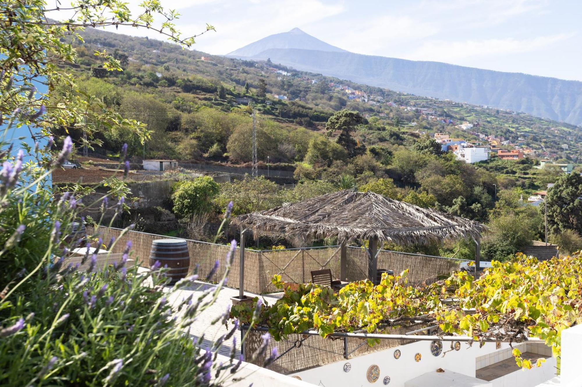 Ek Drago Finca El Milagro La Orotava Ngoại thất bức ảnh