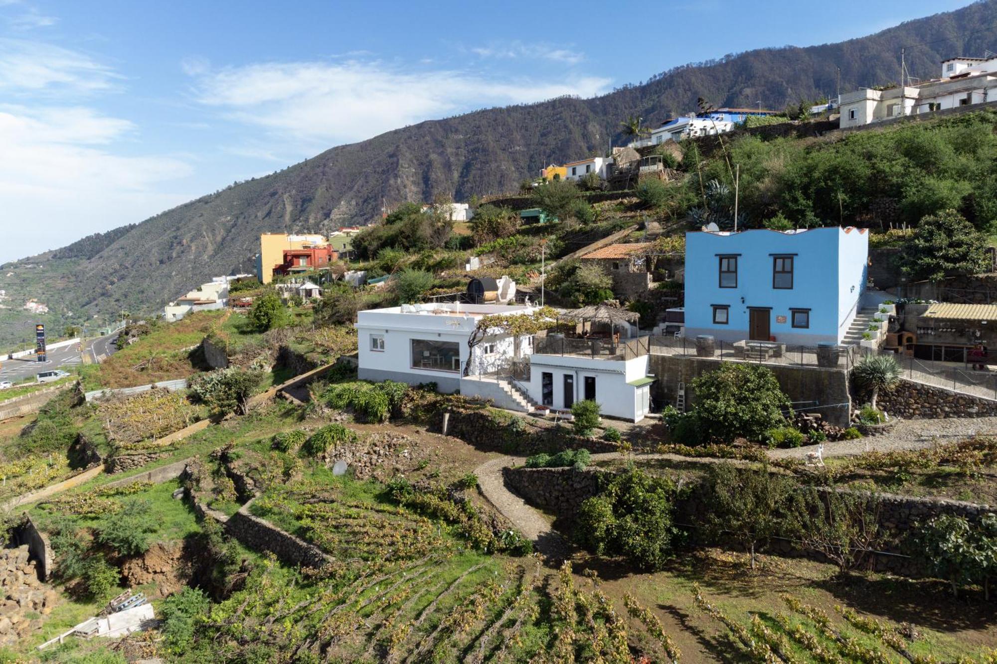 Ek Drago Finca El Milagro La Orotava Ngoại thất bức ảnh