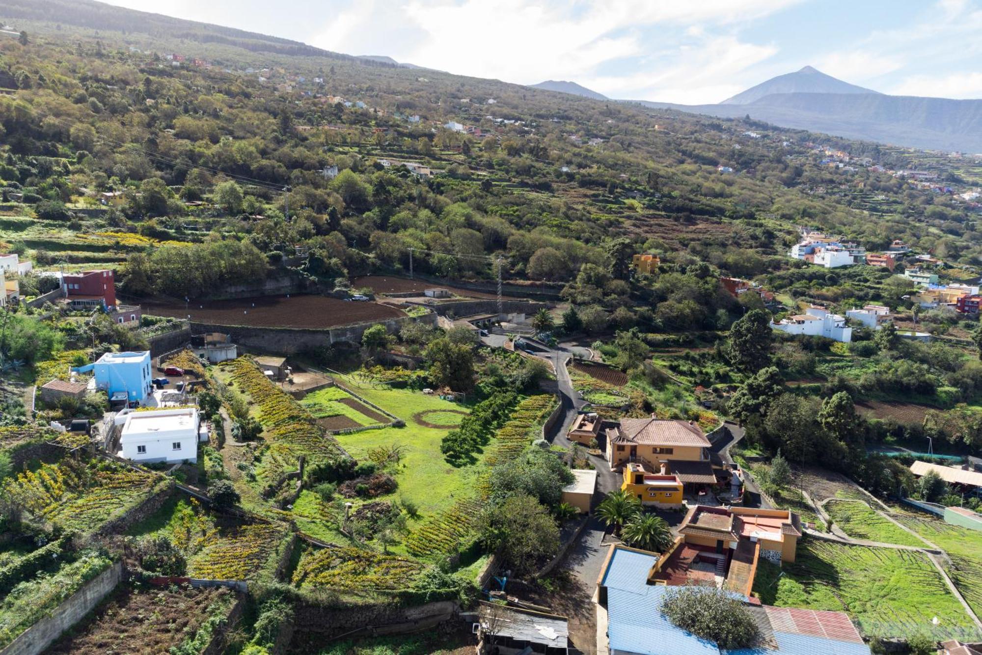 Ek Drago Finca El Milagro La Orotava Ngoại thất bức ảnh