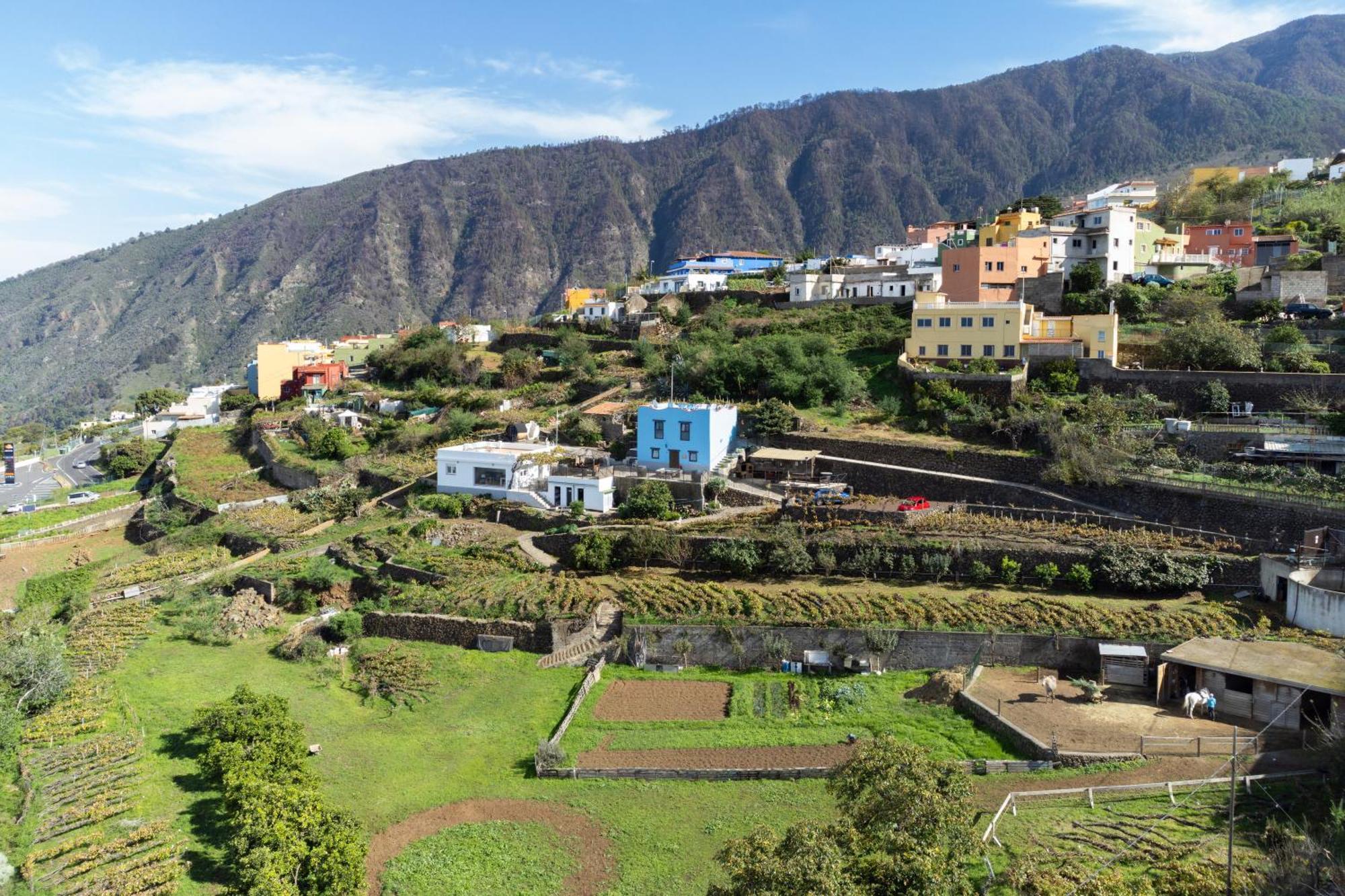 Ek Drago Finca El Milagro La Orotava Ngoại thất bức ảnh