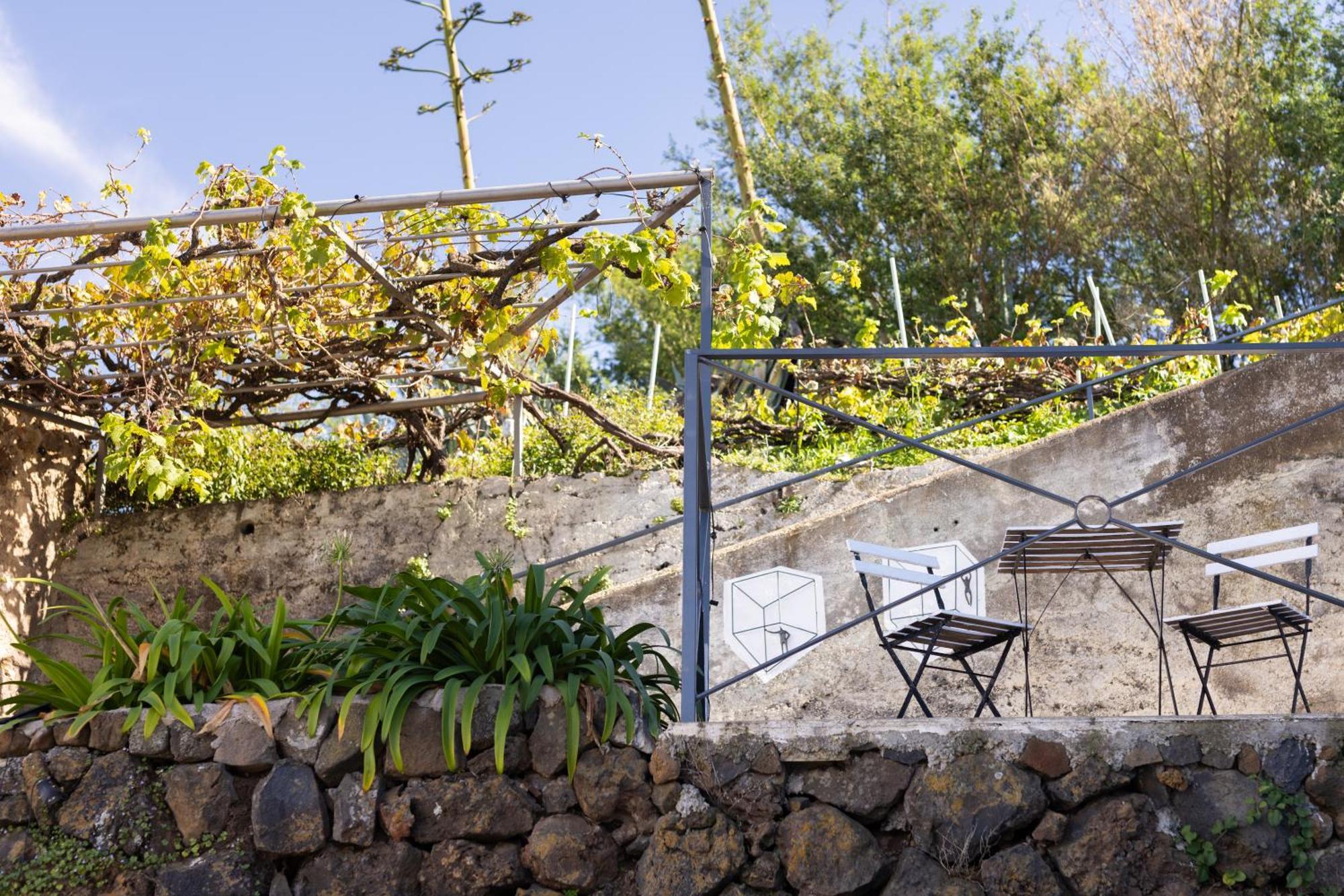 Ek Drago Finca El Milagro La Orotava Ngoại thất bức ảnh